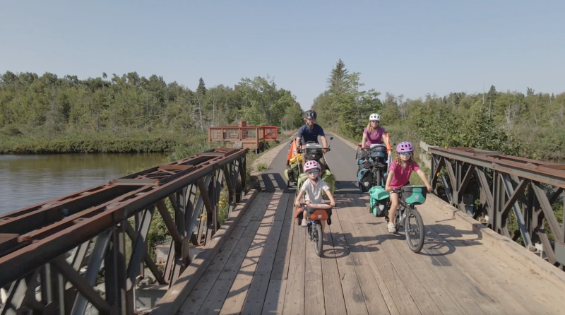 Regency LIVELIFE - Family Bike Nomad